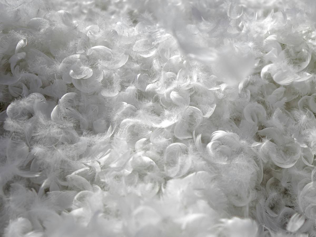 Before and after images of Sarah's hair, showing the transformation from straight to curly