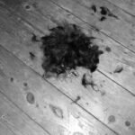 Frizz Control Made Easy: The Ultimate Guide to Using Hair Rollers for Silky Smooth Locks