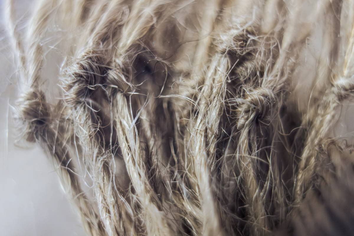 Infographic showing hair shaft structure comparing healthy vs. heat-damaged strands with volume loss stats